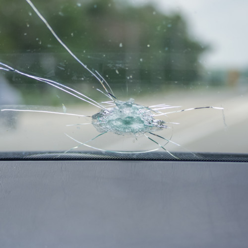 樹液によるガラス 車体への被害を防ぐ方法 ダックス Glassstyle グラススタイル 公式サイト