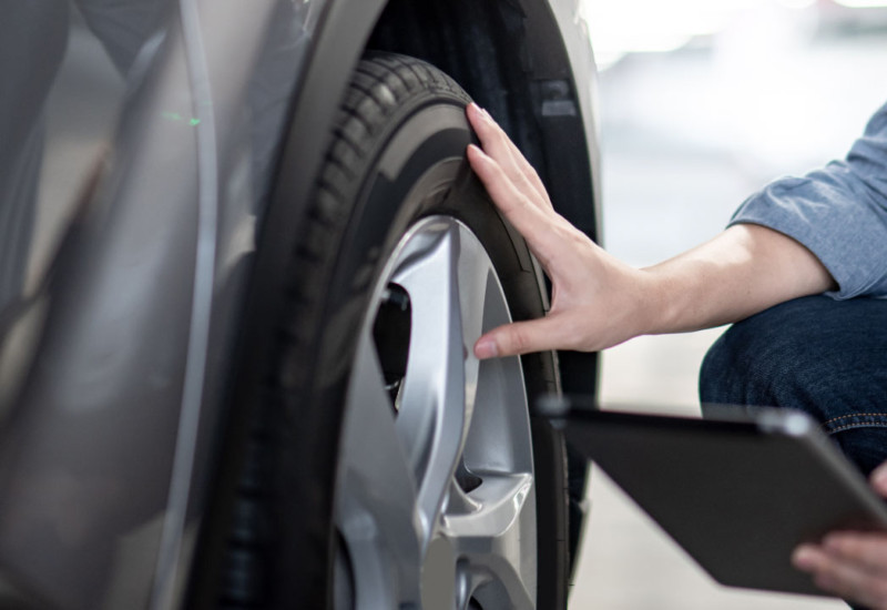 車の猫対策はどうすればいい 足跡やマーキングなどの対処法 ダックス Glassstyle グラススタイル 公式サイト