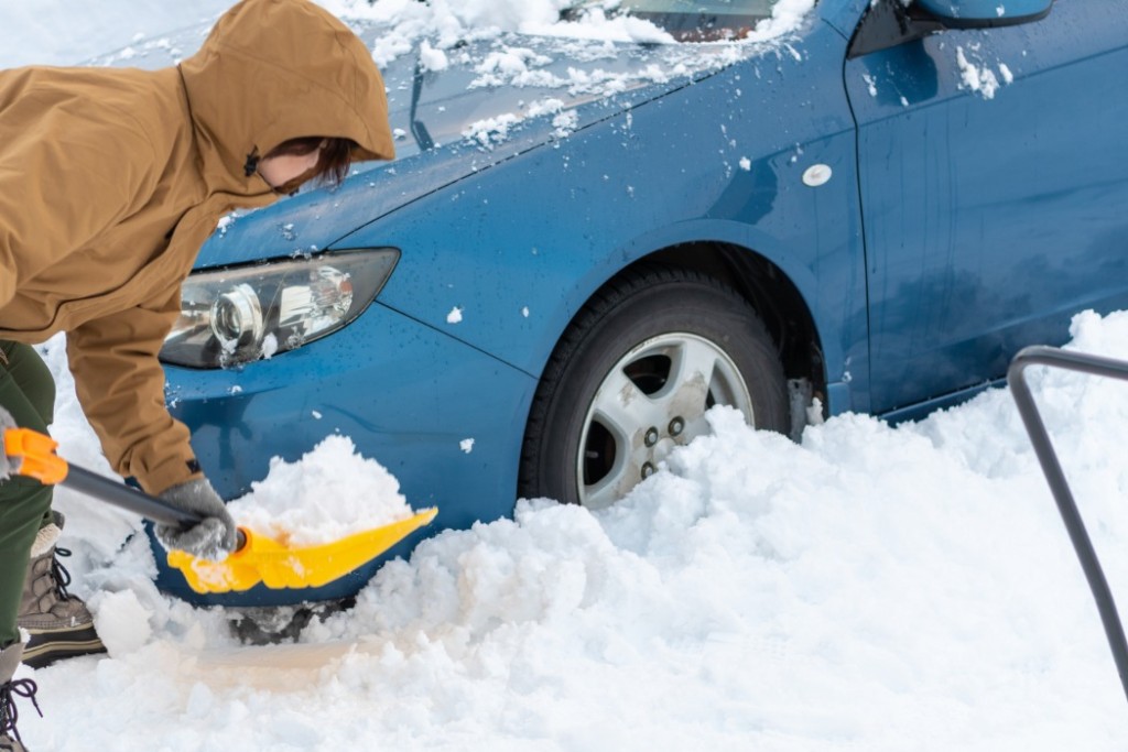 新雪に埋もれてしっている