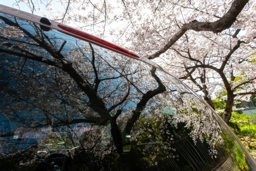 リアガラス とは